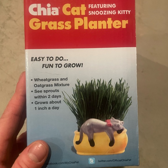 Chia Cat
FEATURING
SNOOZING KITTY
Grass Planter - Picture 4 of 6